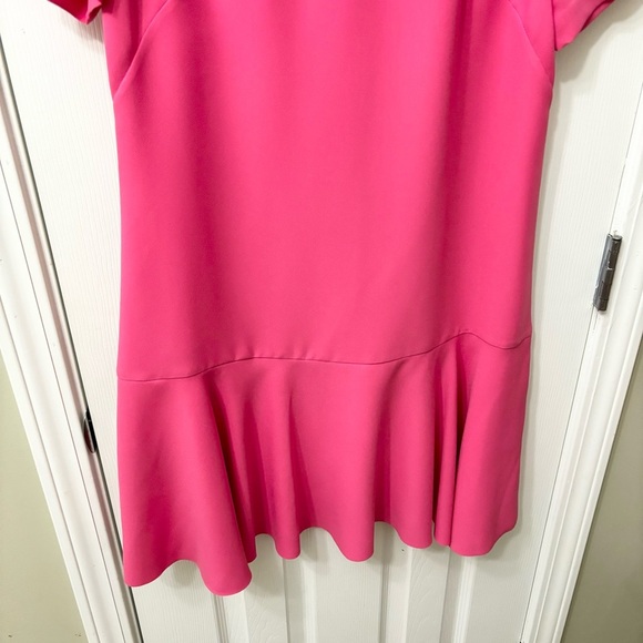 NWT Banana Republic Hot Pink Drop Waist Short Sleeve Dress Womens Size 8 - Picture 4 of 8